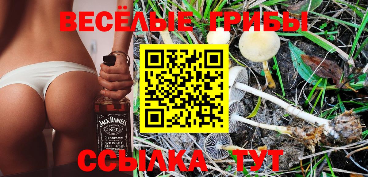 купить   Галлюциногенные грибы Magic Shrooms  Кириши  Вход с VPN  Галлюциногенные грибы Magic Shrooms 